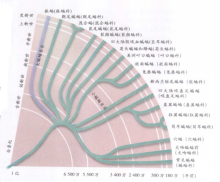 翼手目  蝙蝠 （哺乳纲翼手目动物的统称）