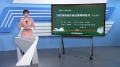 55 20以内的进位加法整理和复习（第2课时）