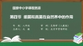 24 24 细菌和真菌在自然界中的作用
