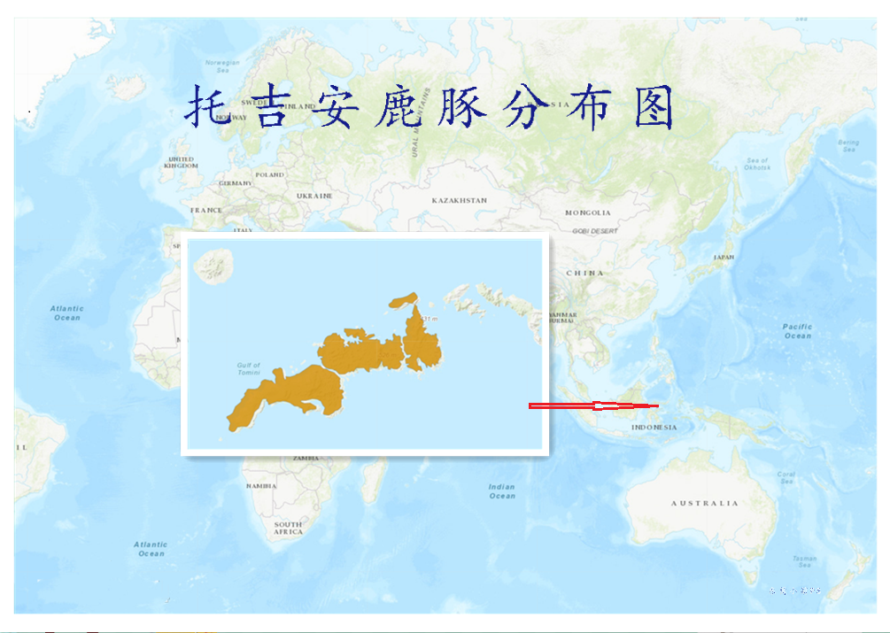托吉安鹿豚地图.png