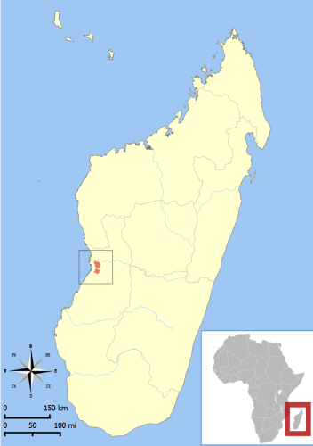 贝氏倭狐猴分布图