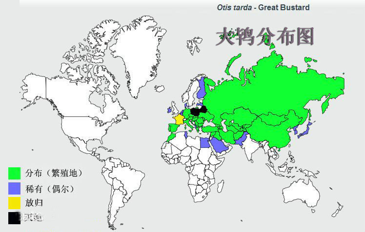 大鸨分布图.jpg