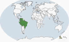 曲冠簇舌巨嘴鸟分布图