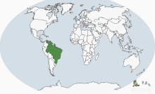 圭亚那小巨嘴鸟分布图